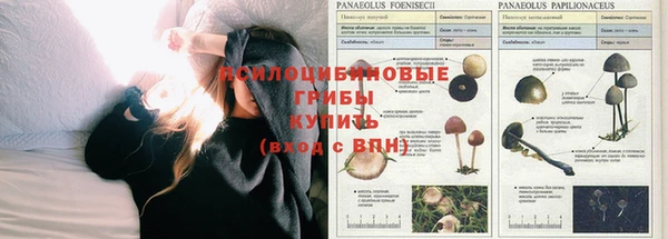 ALPHA-PVP Красноперекопск