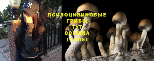 скорость Коряжма