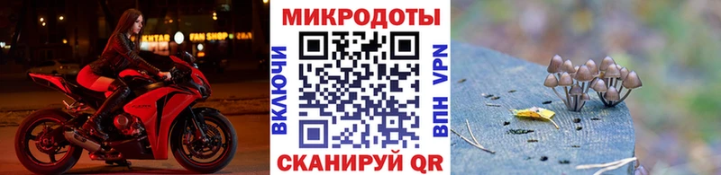 Галлюциногенные грибы Magic Shrooms  MEGA как зайти  Таштагол  магазин   